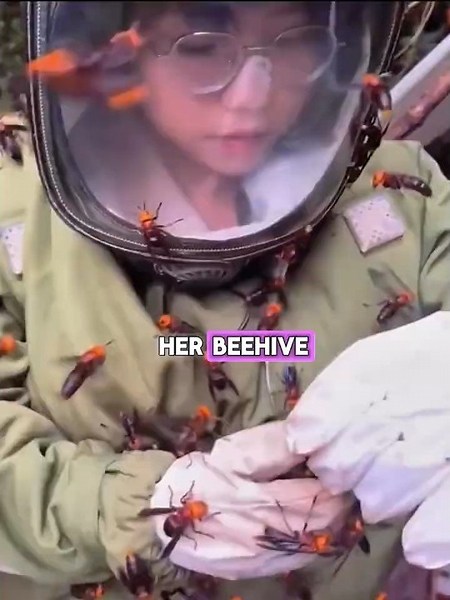 She Followed a Giant Hornet… And Found Its Secret Base! 😱🐝