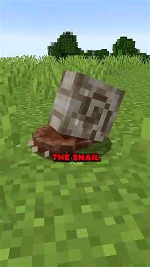 Do not wake the snail