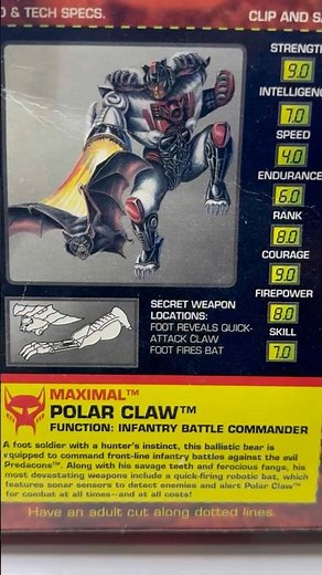 30th Anniversary! Transformers Beast Wars Mega Class Polar Claw appreciation #beastwars
