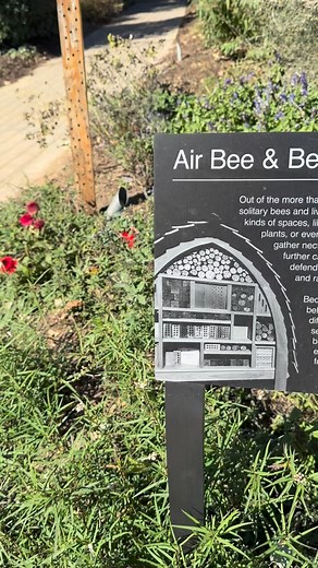 Is this not the cutest thing? 🐝 And this Air Bee & Bee didn’t tank the housing market! | Jessica Stone—Storyteller
