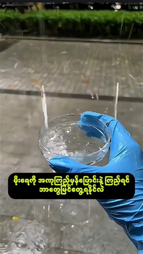 မိုးခရကို အဏုကြည့်မှန်ပြောင်းနဲ့ ကြည့်ရင် ဘာတွေမြင်ရနိုင်လဲ