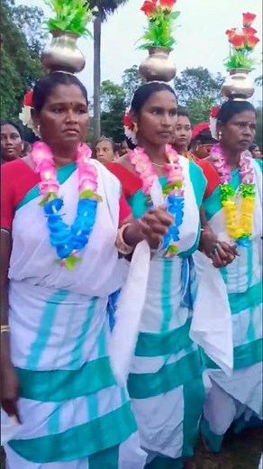 Indian Santali tribe dancing ‪@danguwagateentertainment‬ #jatraadimowarjarpaopera