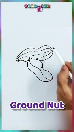 How to Draw Groundnut I Mufli | Easy Drawing I #peanut #groundnut #viral #shorts #video #trending
