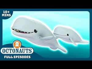 ‪@Octonauts‬ - 🐋 The Beluga Whales 🌊 | Season 1 | Full Episodes | Cartoons for Kids