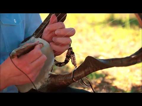 What did the Tortoise Shell Lyre of Hermes Sound Like?