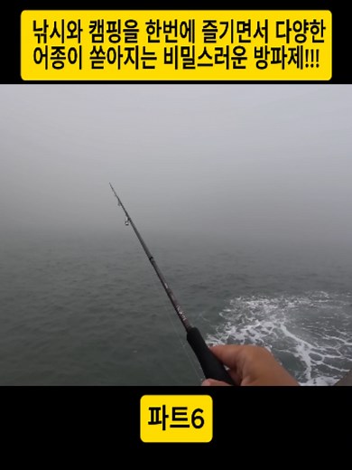 낚시와 캠핑을 한번에 즐기면서 다양한 어종이 쏟아지는 비밀스러운 방파제!!! #6#바다낚시 #낚시 #캠핑 #캠낚 #감성캠핑 #Fishing #Camping #CatchAndCook #fyp #foryoupage