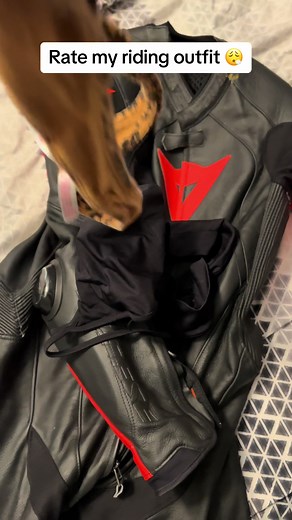 Rate my riding outfit 😮‍💨 #ridingoutfit #ratemyoutfit #thong #motorcycle #fyp #bikersoftiktok #biketok #funny