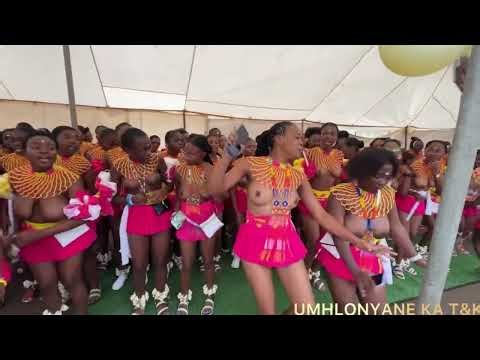 Reed dance umhlonyane Zulu tribal dance