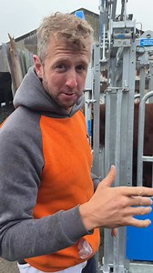 How do you TB test with the Titan crush? | The Sheep Game