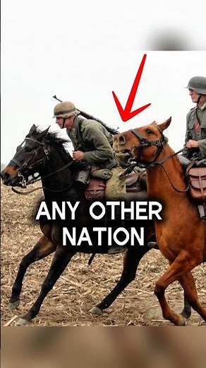 Why Did Germany Use 2.7 Million Horses in WW2?