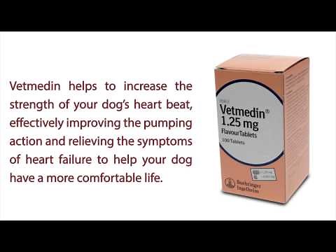 Vetmedin Chewable Tablets for Canine Congestive Heart Failure
