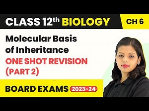 Molecular Basis of Inheritance -One Shot Revision (Part 2)| Class 12 Biology Ch 6 NCERT/NEET 2022-23