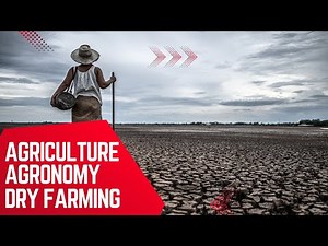 Dry Farming Explained: Techniques, Benefits & Challenges in Agriculture | Agronomy Guide
