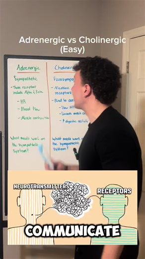 Adrenergic vs Cholinergic, comment down below some meds that work on both!! #nurse #nursing #nursingstudent #icu #medicalstudent