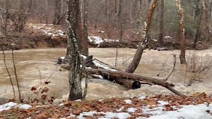 276K views · 854 reactions | WDBJ7 on Reels | Facebook