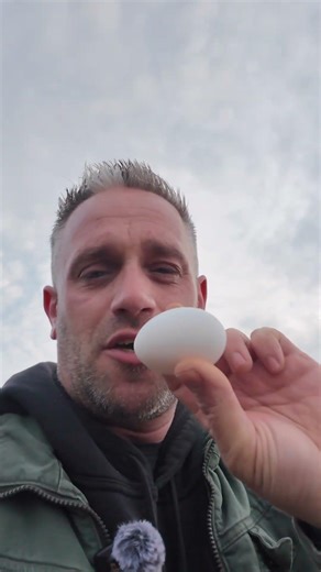 Magic in my pants, facts in my head! 🥚✨