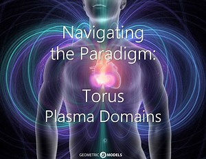 Navigating the Paradigm: Torus Plasma Domains