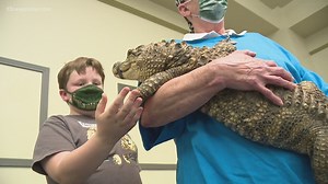 Exotic pets are in the spotlight at expo in Chesapeake