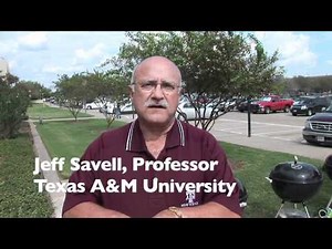 Texas BBQ: Fuel Type