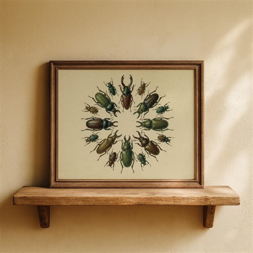 Vintage Beetle Collection Print Antique Entomology Illustration Insect Wall Art Natural History Poster Dark Academia Curiosity Cabinet Decor - Etsy
