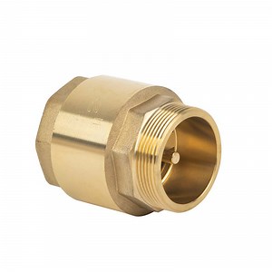 [Hot Item] Factory Price Brass Non Return Check Valve Fit for Carburetors and Low Pressure Water Systems Check Valve with Mesh