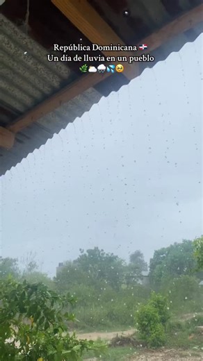 VIRAL DOMINICANS | 🇩🇴🇩🇴😍😍🤤 @yeirymasiel_ | Instagram