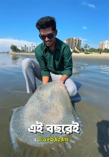 কক্সবাজারে ঘুরতে যাওয়ার সেরা গাইড