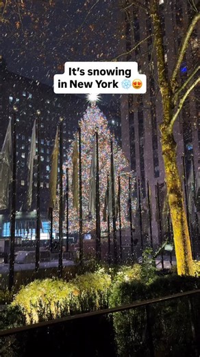 A little at least ❤️ Is the snow sticking where you are? ❄️ | Sincerely Maureen