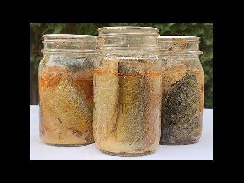 Canned Salmon (with pressure canner)