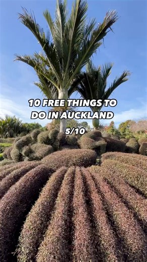 23K views · 129 reactions | ATTN nature lovers  The Auckland Botanic Gardens is a must-visit spot to add to your list. Immerse yourself in nature and unwind as you wander through stunning gardens and lush native bush, and admire its tranquil lake and outdoor sculptures. #VisitAuckland | Visit Auckland | Facebook