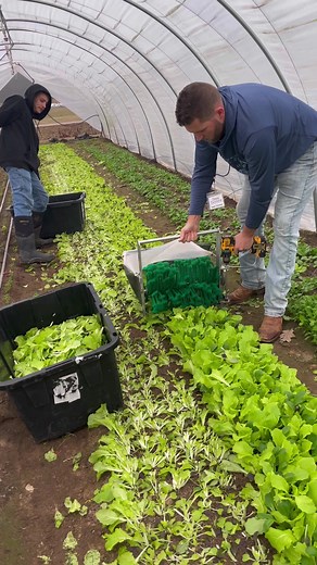 16M views · 67K reactions | Supercharging Your Small-Scale Farm with...