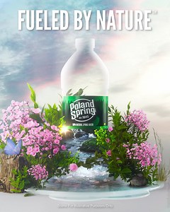 Enjoy a bottle of Poland Spring Brand 100% Natural Spring Water. #GetFueledByNature from the Northeast. | Poland Spring Natural Spring Water