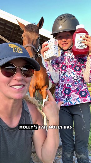 Whiten Your Horse’s Tail Naturally with Ketchup