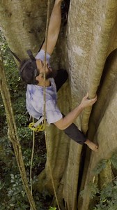 85K views · 447 reactions | Probably the hardest tree climb I ever...