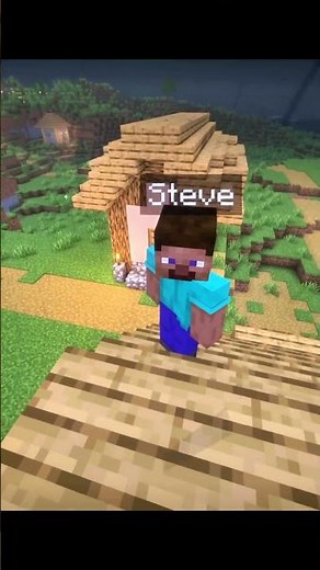 Steve Stopped NULL from Taking Over the Village #minecraft #memes