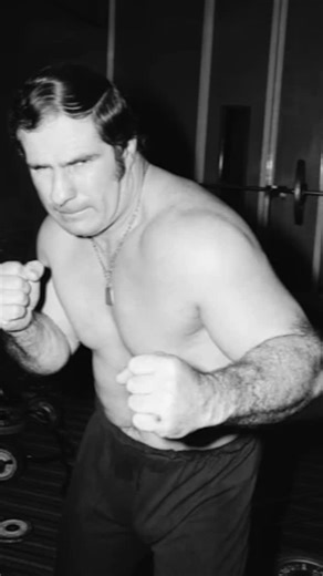 37K views · 4.3K reactions | Not Guilty TV on Reels | Facebook