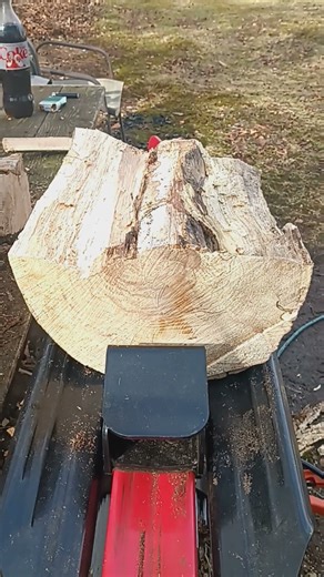 HARBOR FREIGHT 5TON ELECTRIC LOG SPLITTER #tree #firewood #tools #logsplitter #harborfrieght