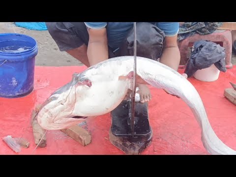 Todays Fishing Blog is live!