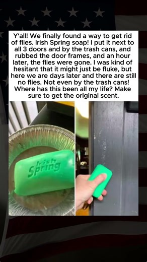 Flies Begone with Irish Spring