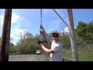 Spring pole construction and use