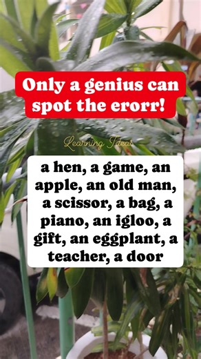 2.1K views · 24 reactions | #learnenglish #grammar #activity #SpotTheError #correctthemistake #identifyingerror #fyp #fypchallenge #learnengideas | Learning Ideas | Facebook