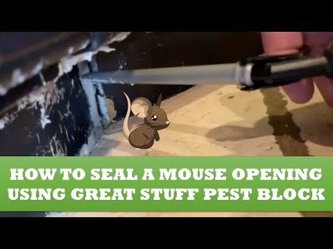 How to Seal a Mouse Opening