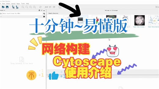 网络构建Cytoscape使用介绍
