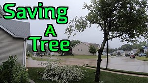 10 Great ##### Public Speakers