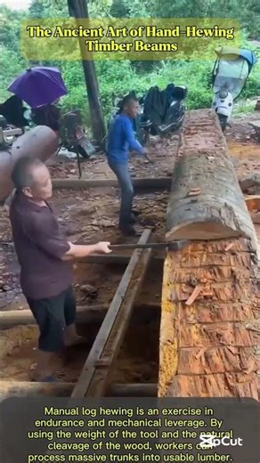 Maximizing Productivity Through Manual Leverage and Skill