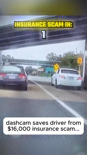 Veltrovate on Instagram: "dashcam bad drivers insurance scam #dashcam"