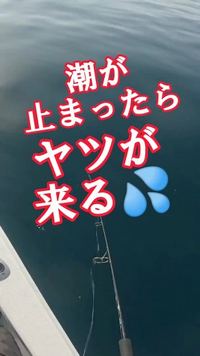 アラなわけがない🤣#アウトドア部#釣り部#fishinglife#船釣り#海釣り#釣り動画#ルアー釣り#長崎釣り#saltwaterfishing#長崎釣り#capcut
