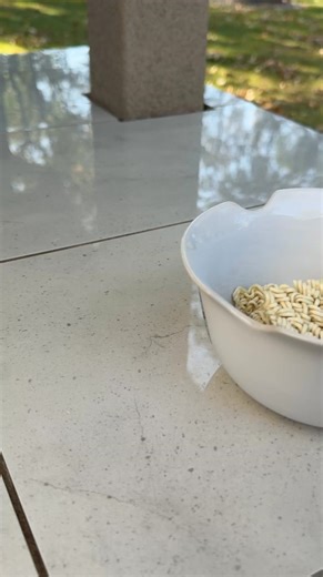 Birria Ramen | Burnt_Pellet_BBQ