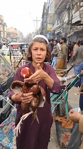 1.5M views · 40K reactions | Soda | Rawalpindi Club Of Aseel | Facebook