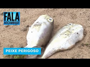 Residents of Gadzene confirm the death of 3 people after consuming fish that was not recommended.